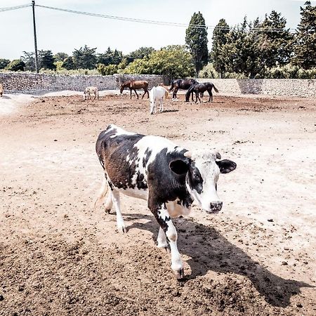Masseria Prosperi Alimini Zewnętrze zdjęcie