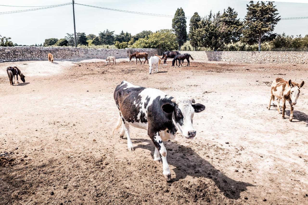 Masseria Prosperi Alimini Zewnętrze zdjęcie