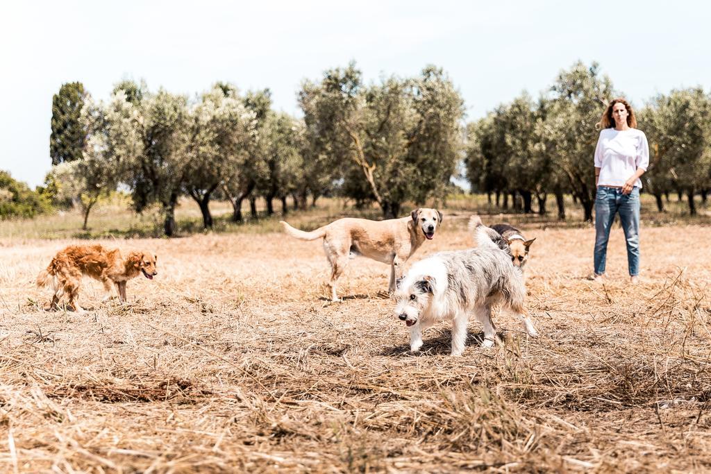 Masseria Prosperi Alimini Zewnętrze zdjęcie