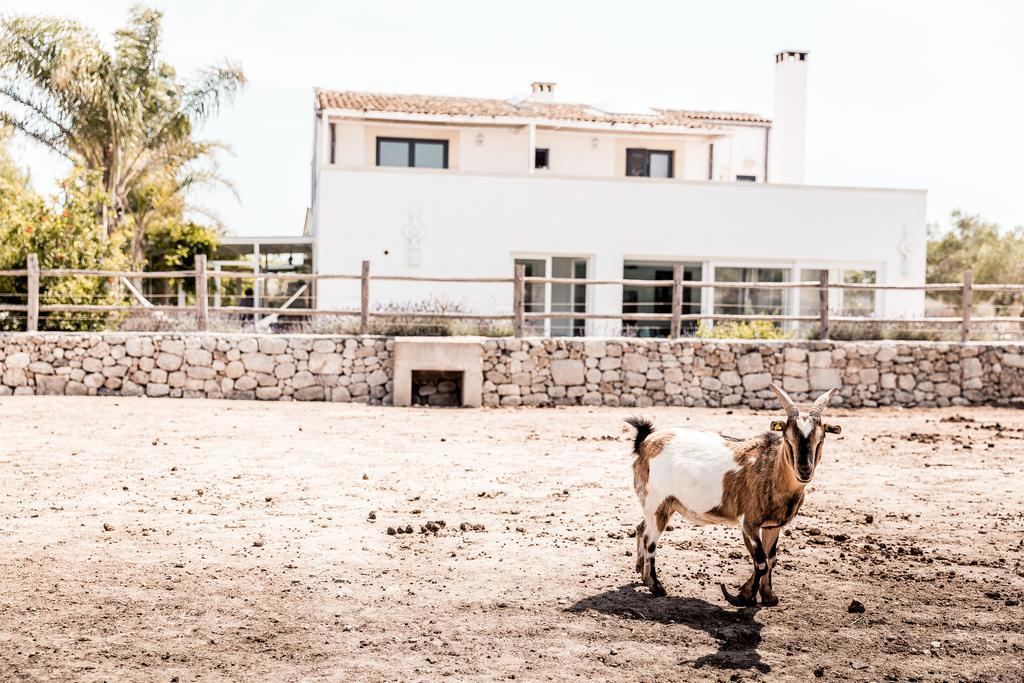 Masseria Prosperi Alimini Zewnętrze zdjęcie
