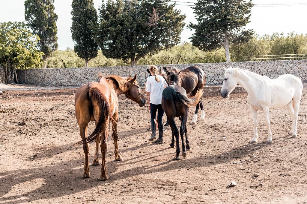 Masseria Prosperi Alimini Zewnętrze zdjęcie